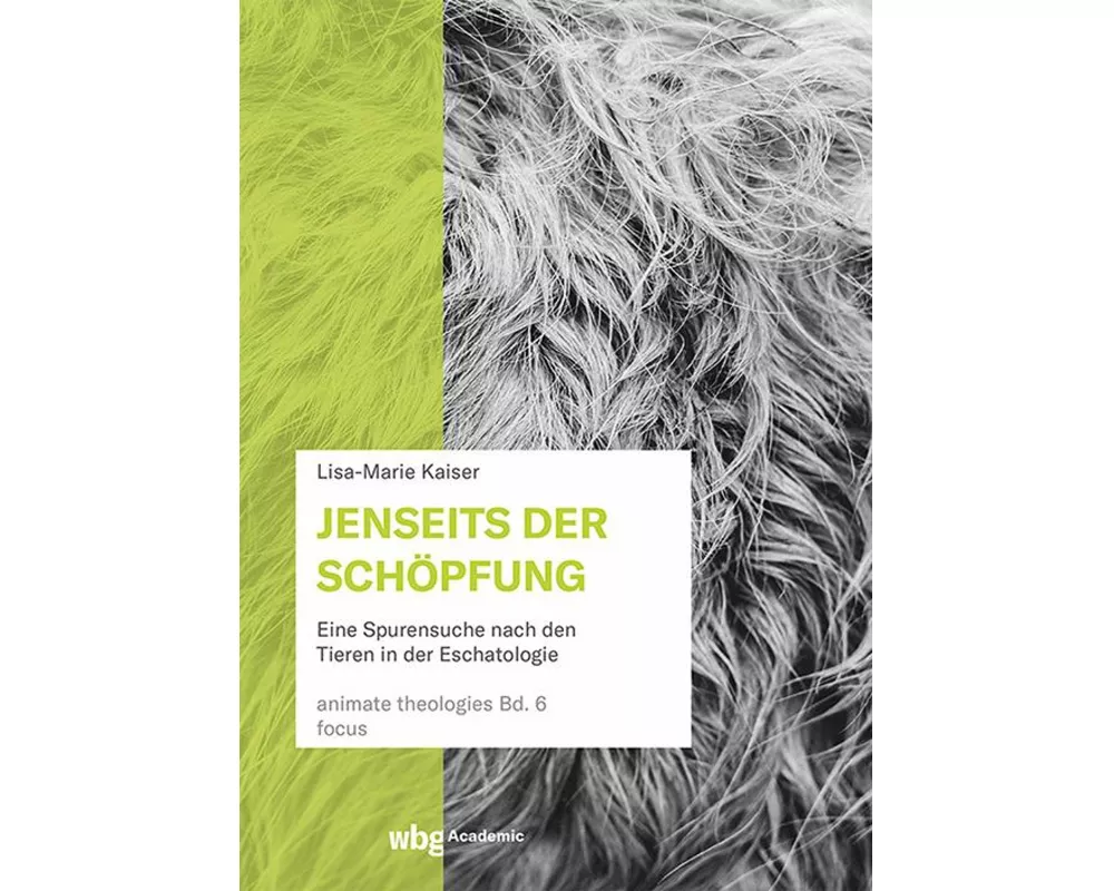Jenseits der Schöpfung