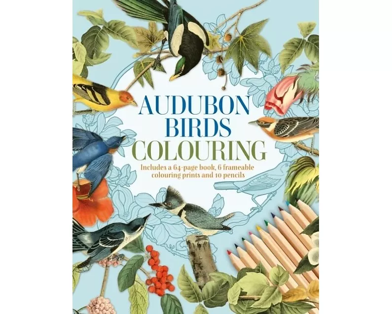 Audubon Birds Colouring Kit