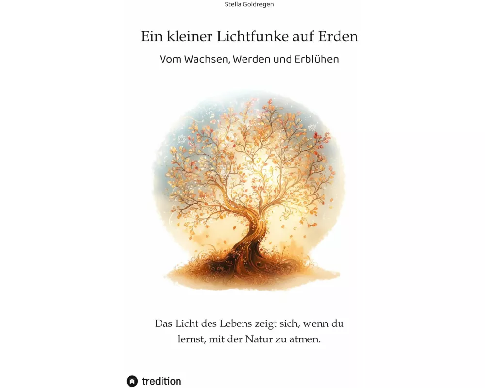 Ein kleiner Lichtfunke auf Erden