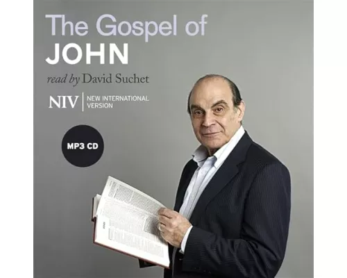 NIV Gospel of John