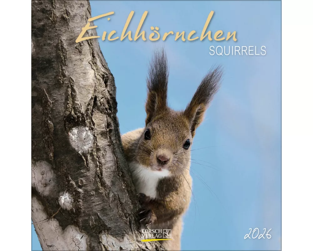 Eichhörnchen 2026