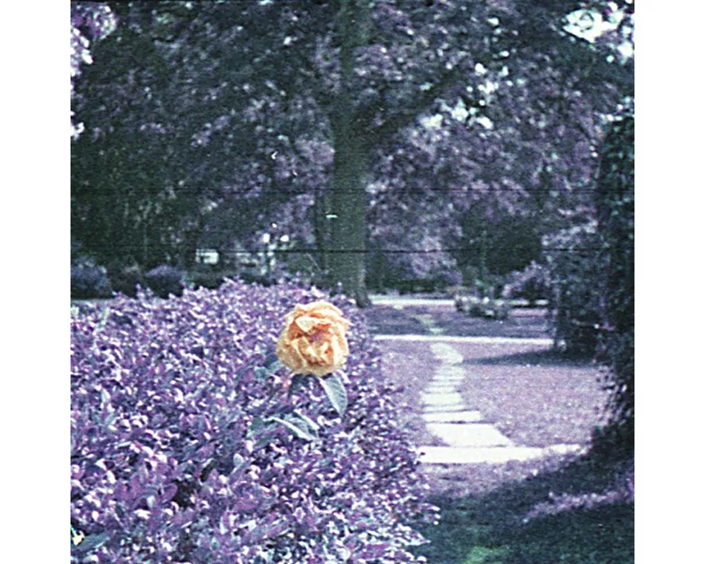 Subminiature