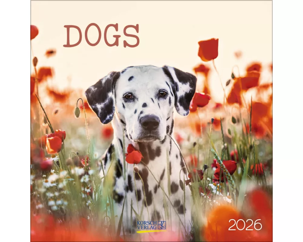 Dogs 2026