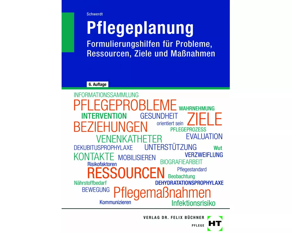 eBook inside: Buch und eBook Pflegeplanung