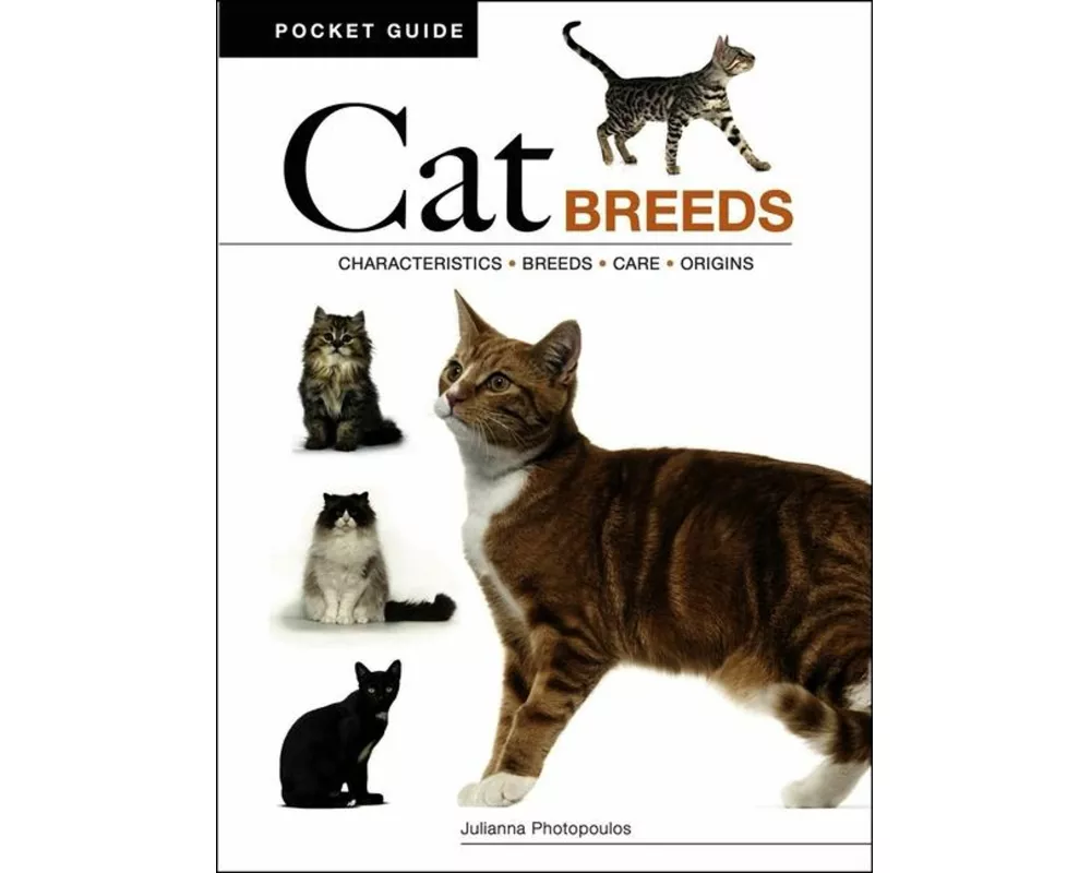 Cat Breeds