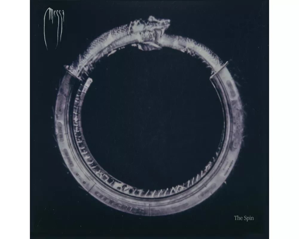 The Spin