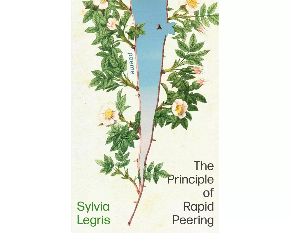 The Principle of Rapid Peering