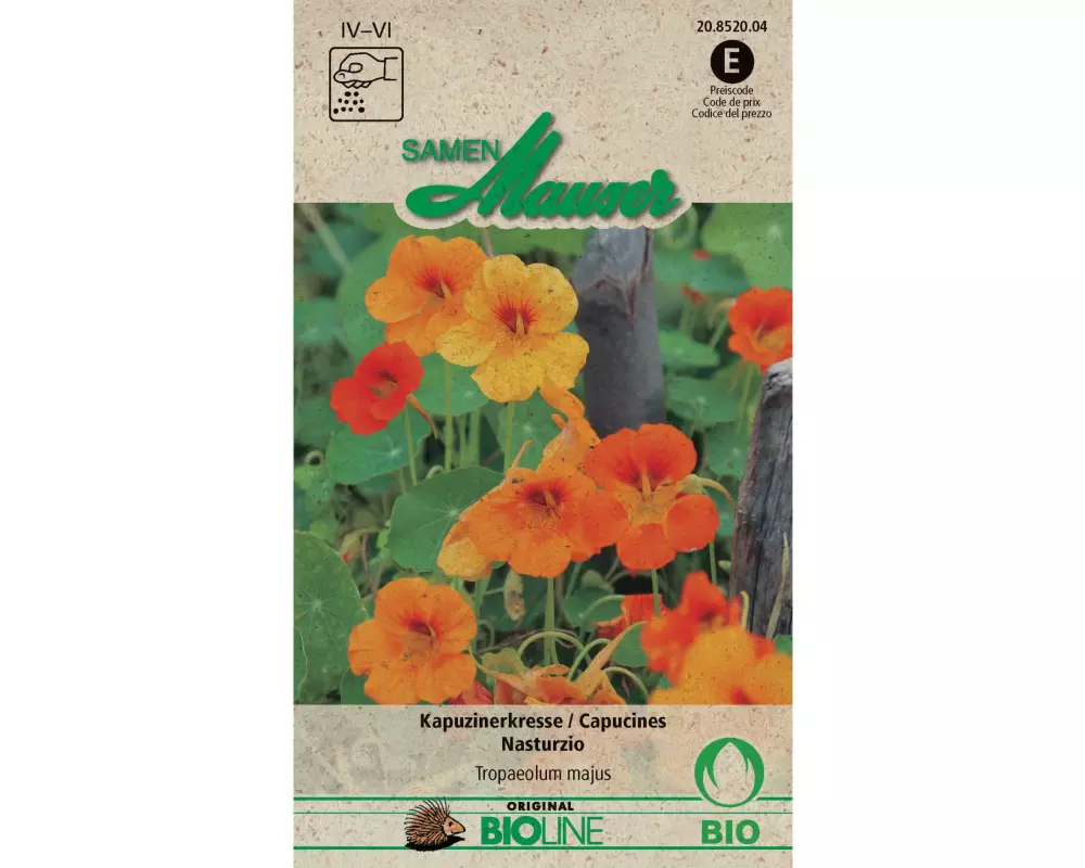 Samen Mauser Saatgut Kapuzinerkresse