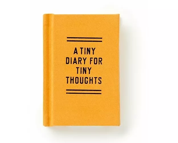 A Tiny Diary for Tiny Thoughts