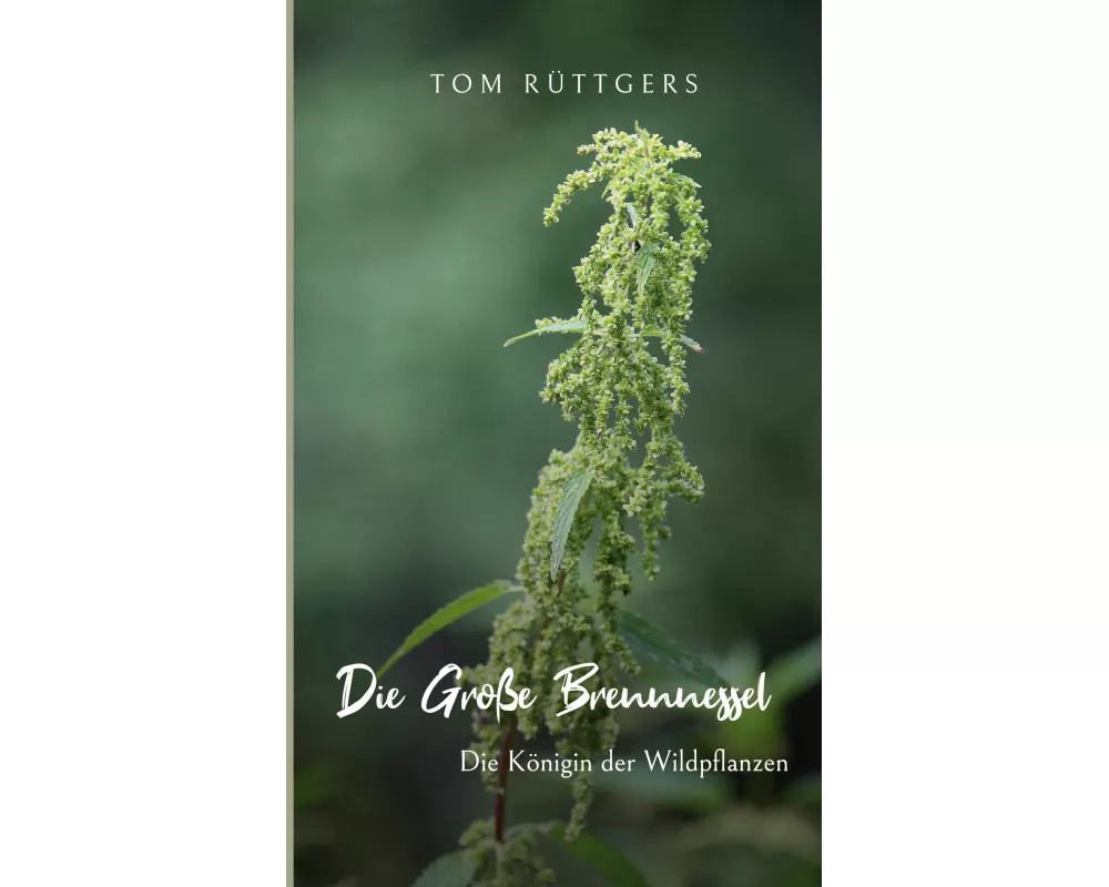 Die Große Brennnessel