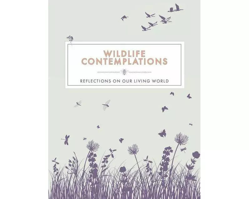Wildlife Contemplations