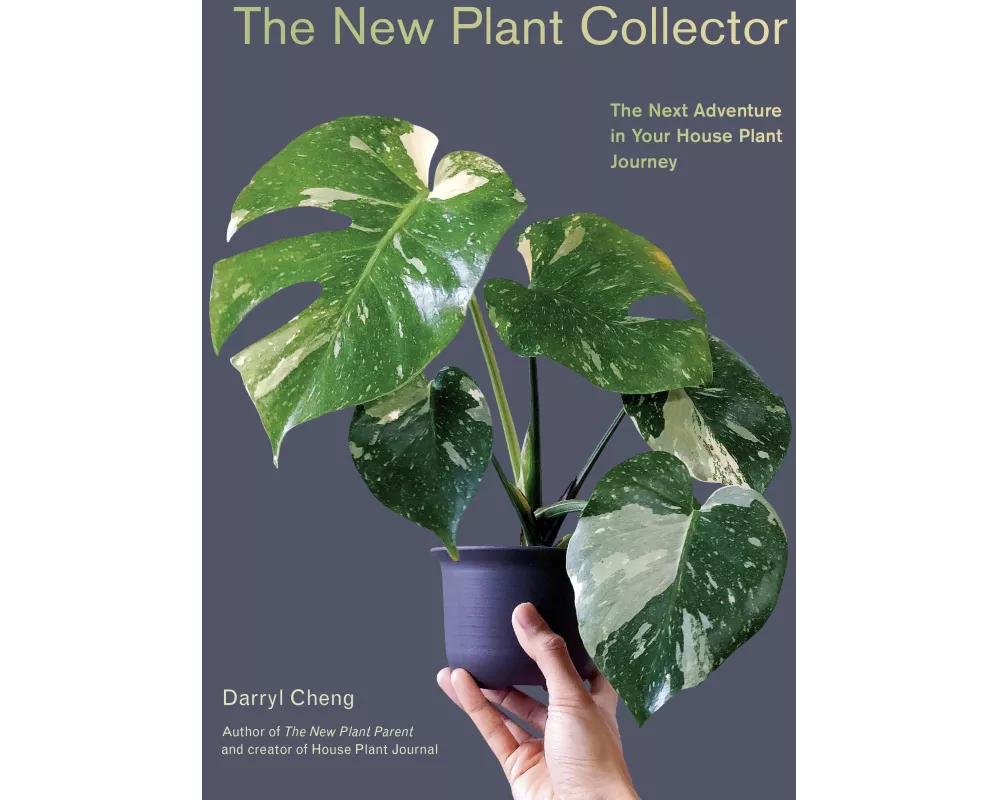 The New Plant Collector