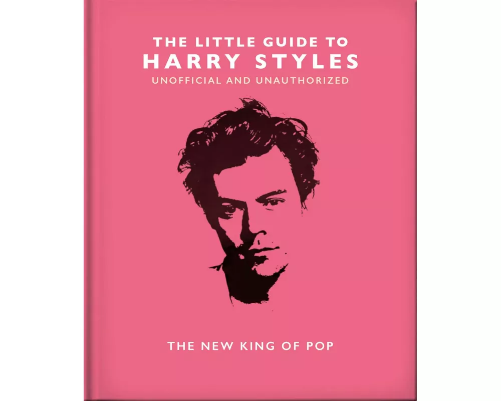 The Little Guide to Harry Styles