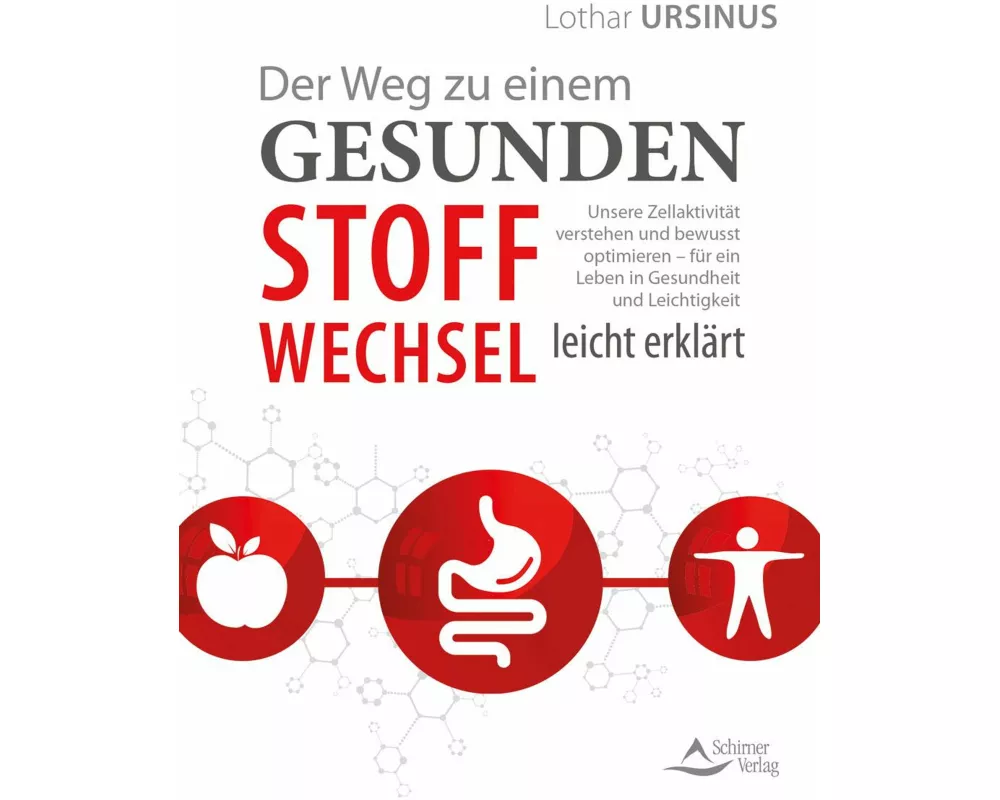 Der Weg zu einem gesunden Stoffwechsel – leicht erklärt