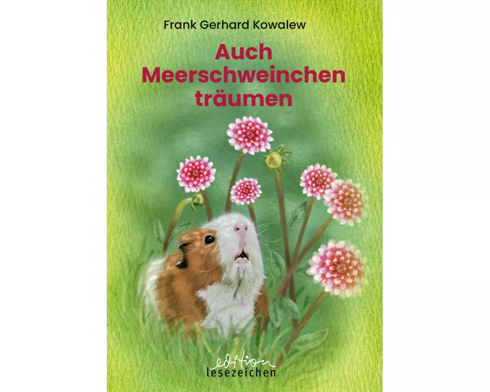 Auch Meerschweinchen träumen