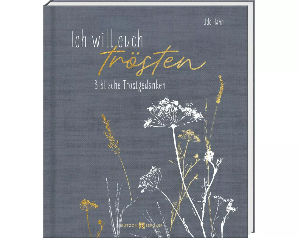 Ich will euch trösten