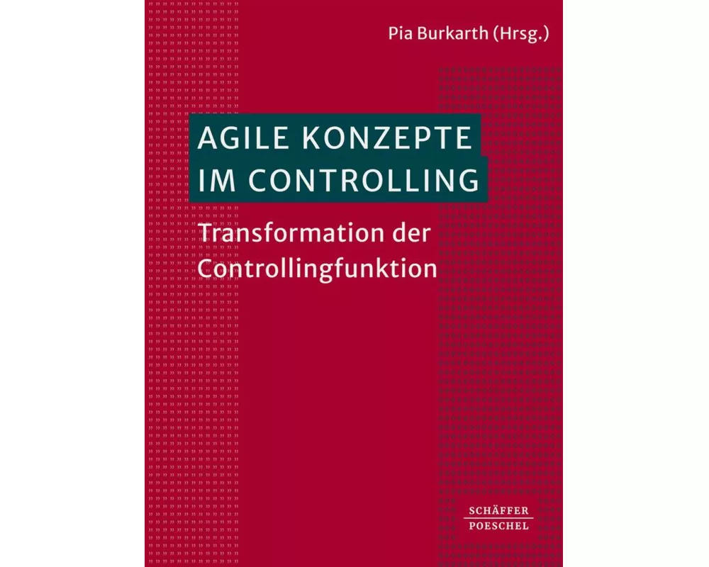 Agile Konzepte im Controlling