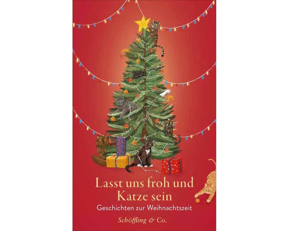 Lasst uns froh und Katze sein