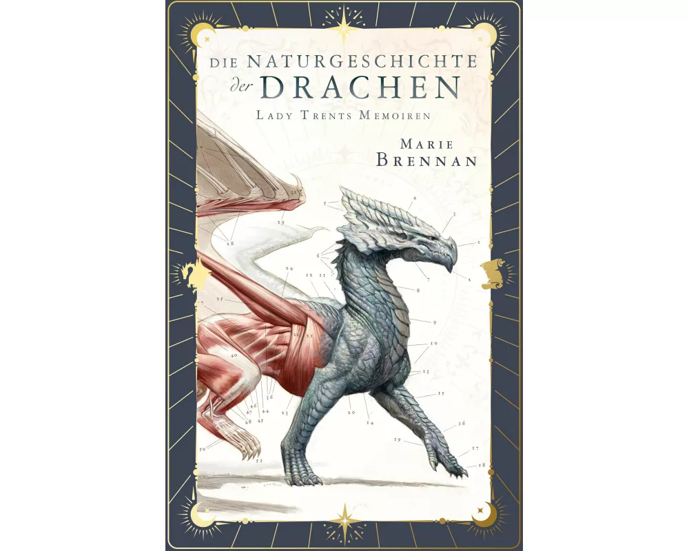 Lady Trents Memoiren – Die Naturgeschichte der Drachen 1 Neue Edition