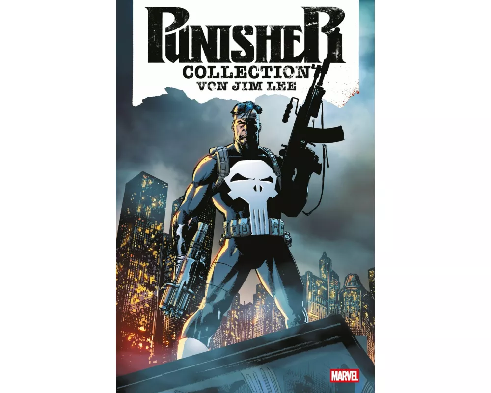 Punisher Collection von Jim Lee