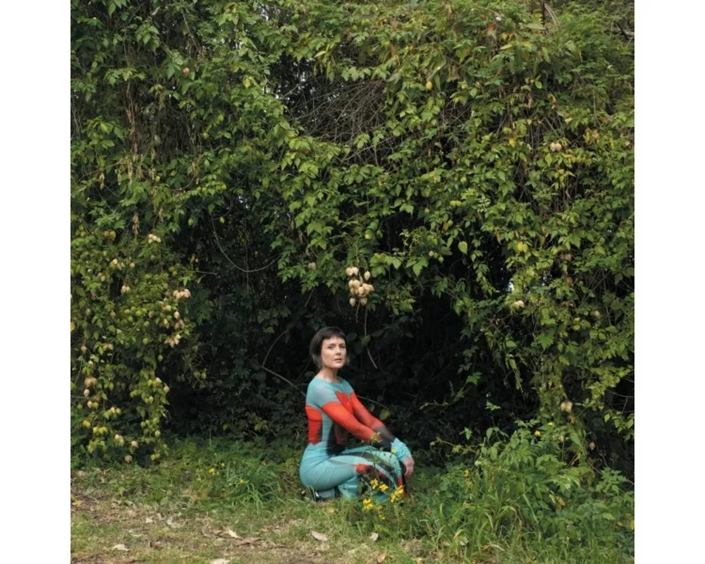 Molasses (Gate Fold Vinyl 1 x 12'')