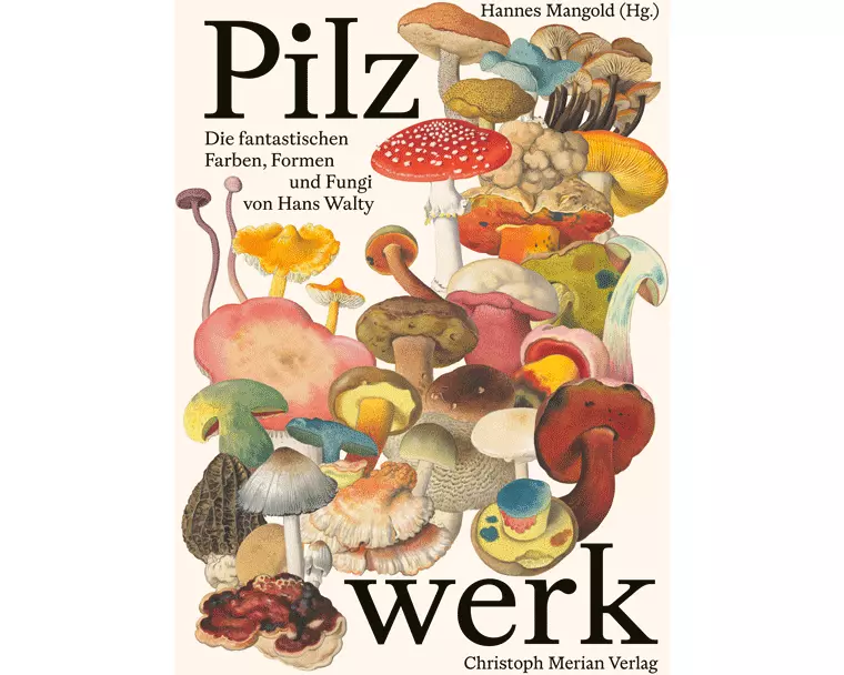 Pilzwerk