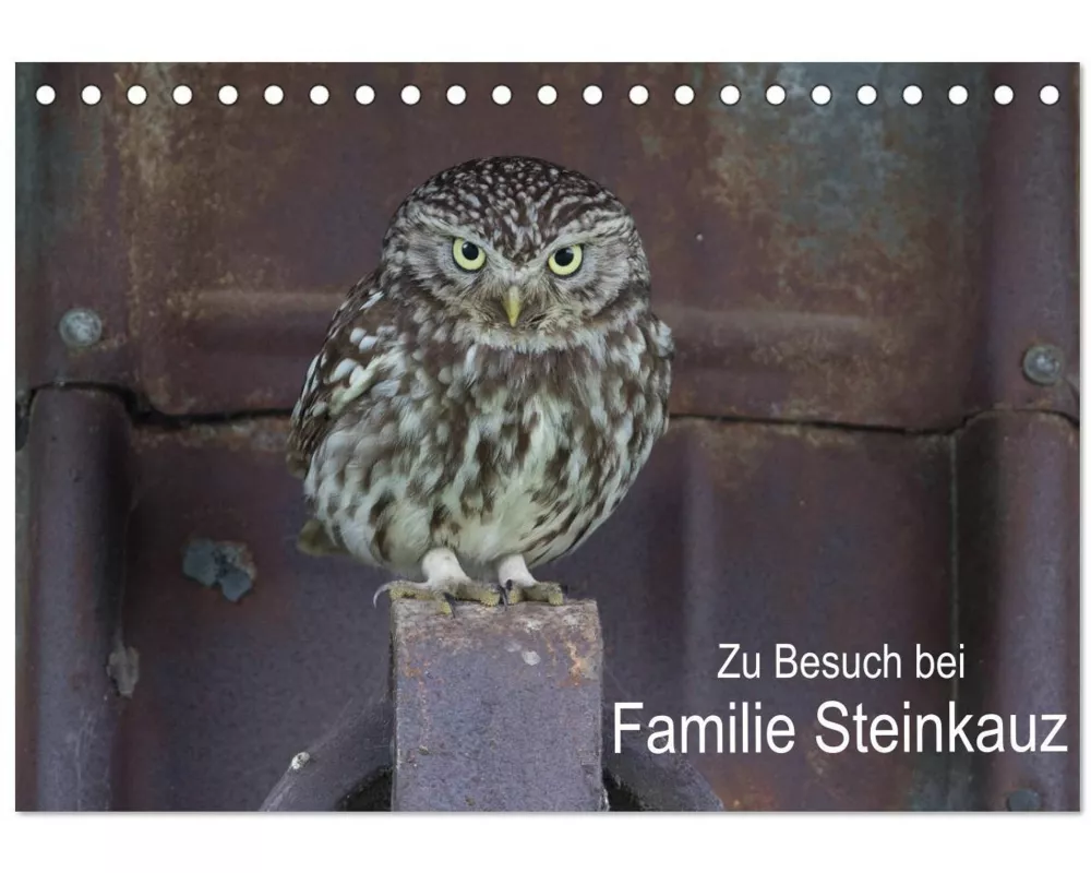 Zu Besuch bei Familie Steinkauz (Tischkalender 2026 DIN A5 quer), CALVENDO Monatskalender
