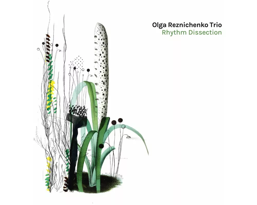 Rhythm Dissection