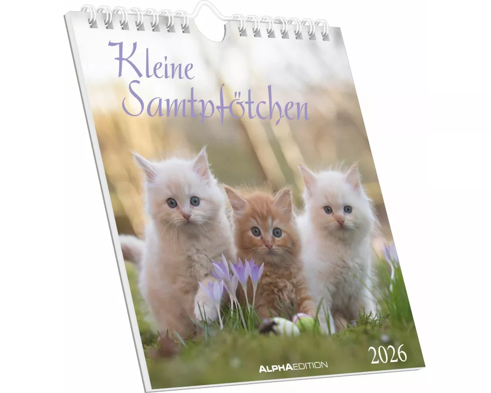 Alpha Edition - Kleine Samtpfötchen Kalender 2026 – Postkartenkalender 16×17 cm mit Katzenmotiven, zum Aufstellen oder Aufhängen, niedlicher Tischkale