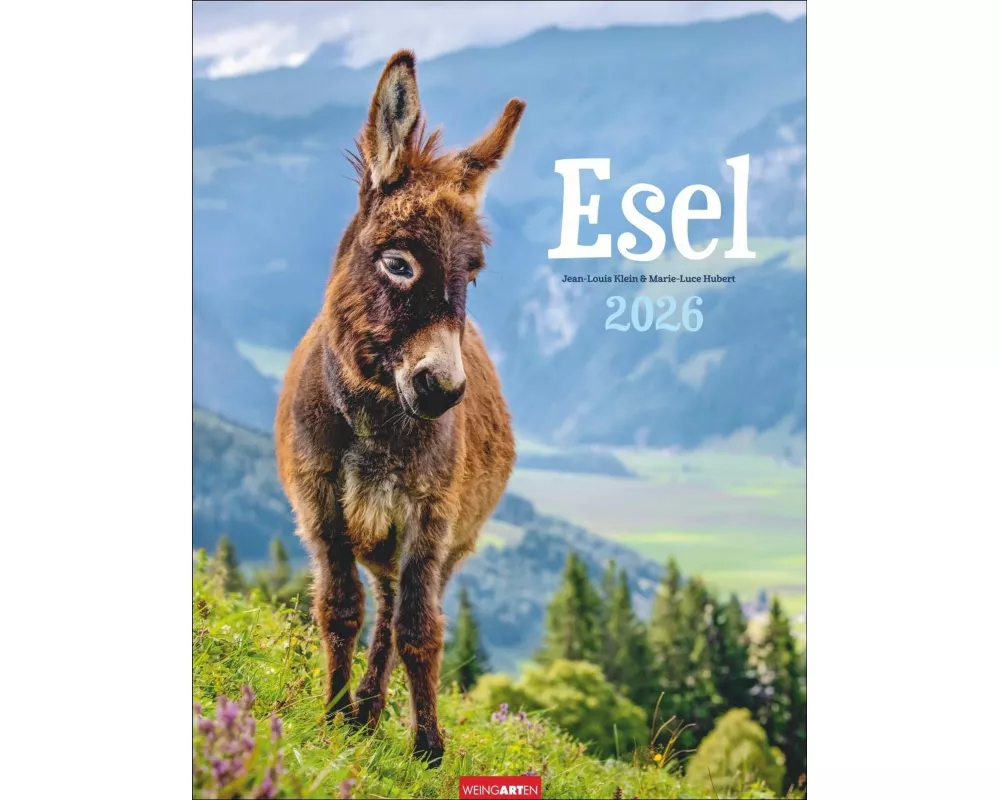 Esel Kalender 2026