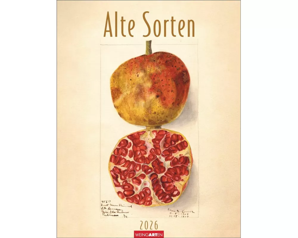 Alte Sorten Kalender 2026