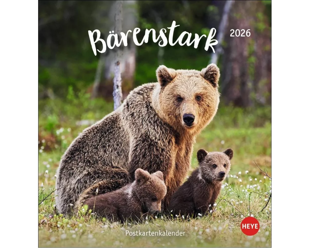Bärenstark Postkartenkalender 2026