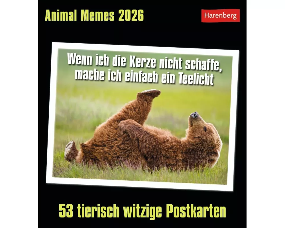 Animal Memes Postkartenkalender 2026 - 53 tierisch witzige Postkarten