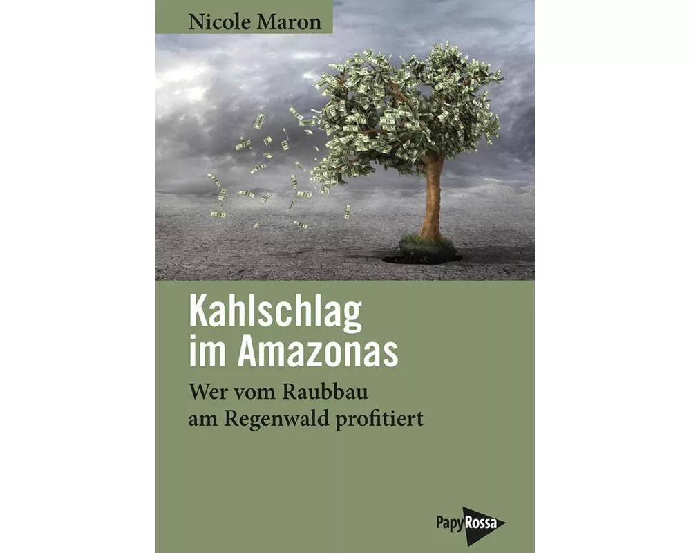 Kahlschlag im Amazonas