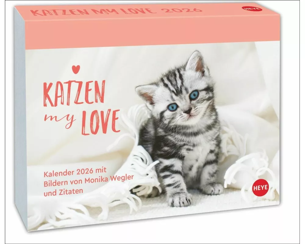 Katzen my love Tagesabreißkalender 2026