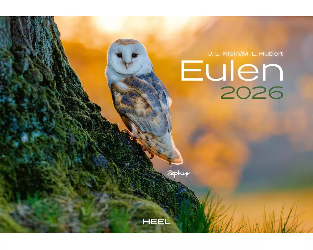 Eulen Kalender 2026