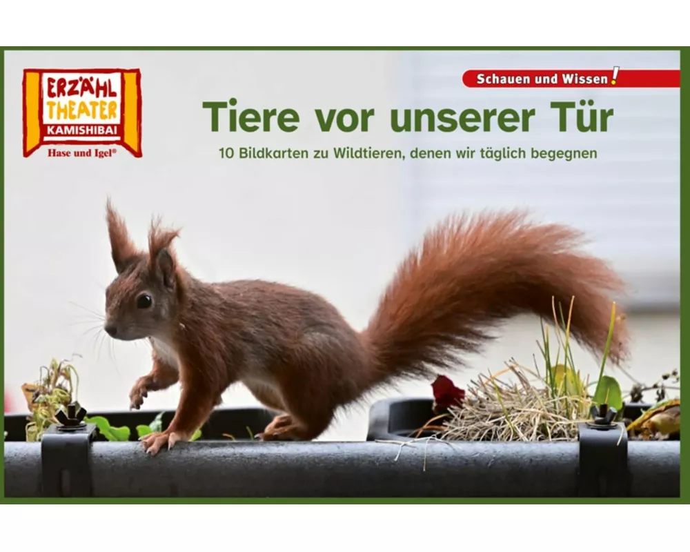 Tiere vor unserer Tür / Kamishibai Bildkarten
