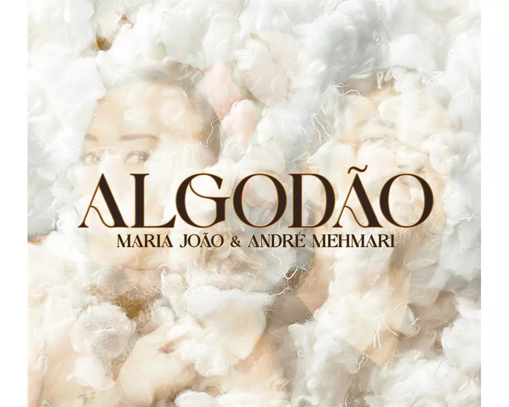 Algodão