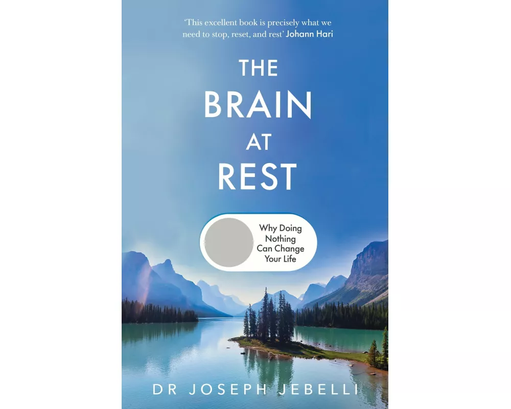 The Brain at Rest