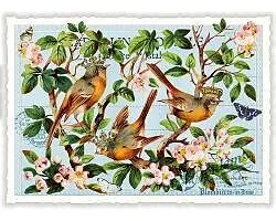 Postkarte. Sweet Memories / Vögel auf Ästen / Quer / Blanko