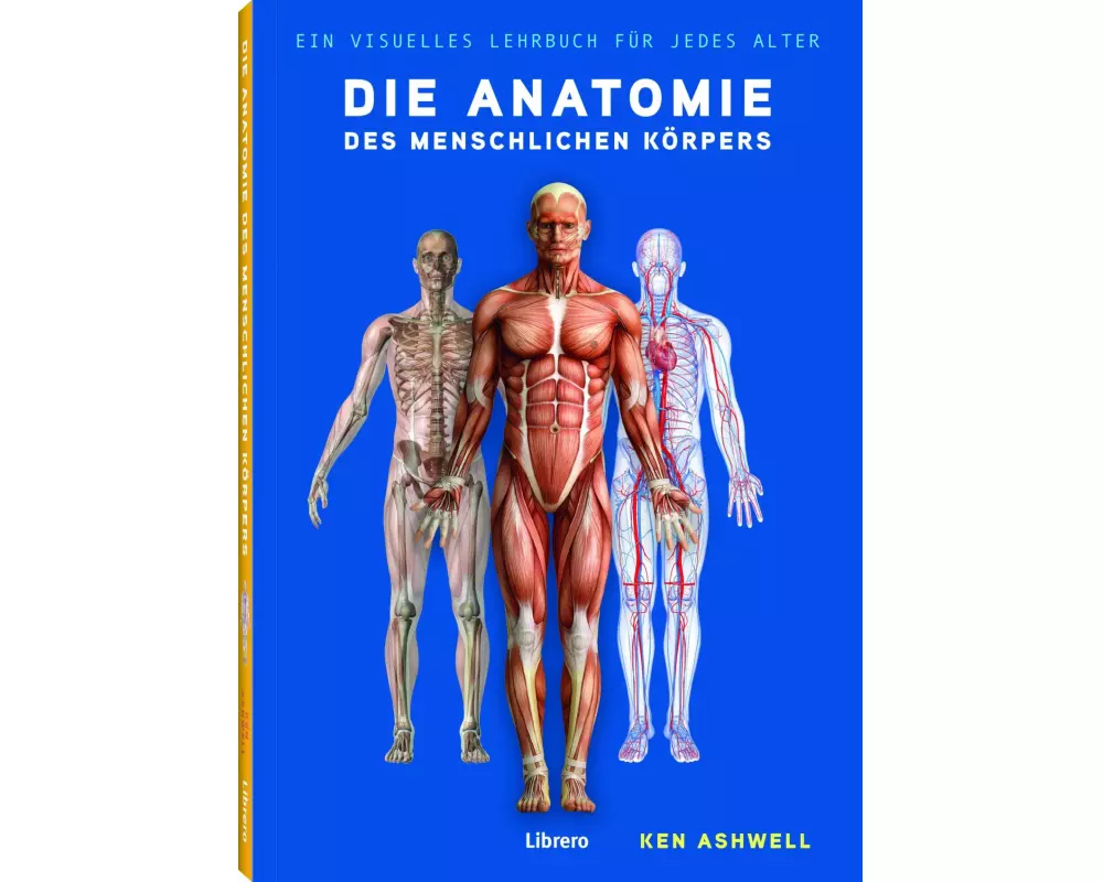 Die Anatomie des Menschlichen Körpers