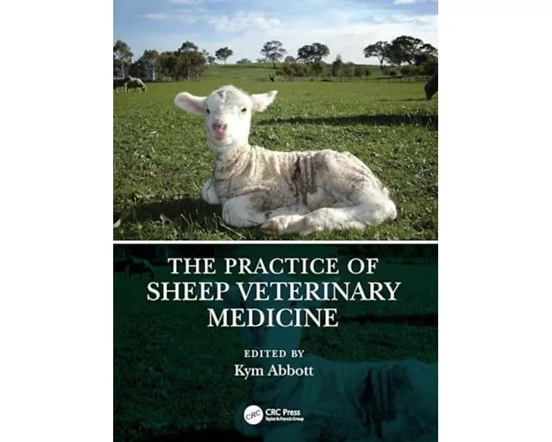 Sheep Veterinary Practice
