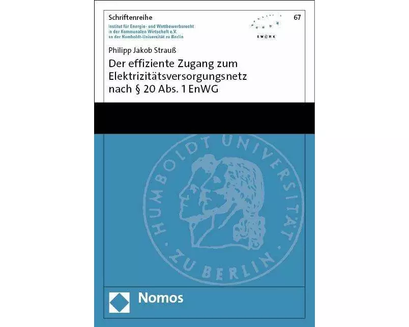 Der effiziente Zugang zum Elektrizitätsversorgungsnetz nach § 20 Abs. 1 EnWG