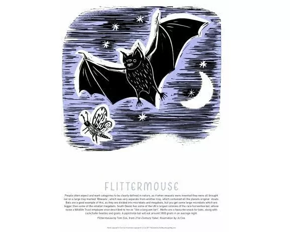 Tom Cox's 21st Century Yokel Poster: Flittermouse