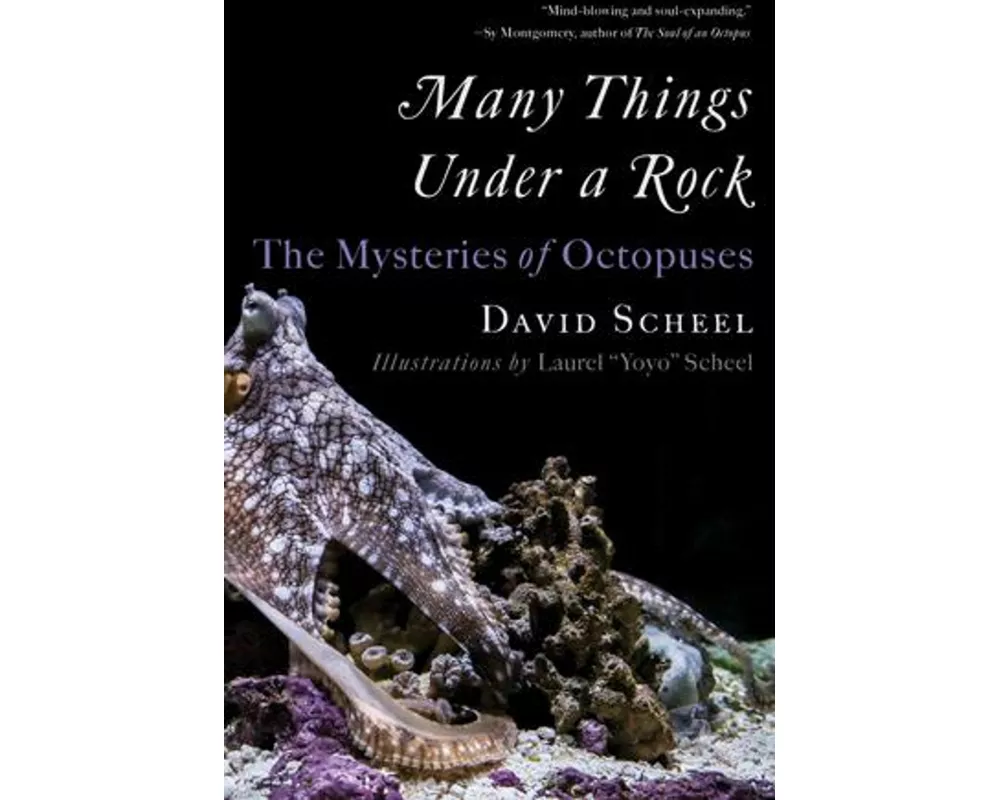 Many Things Under a Rock
