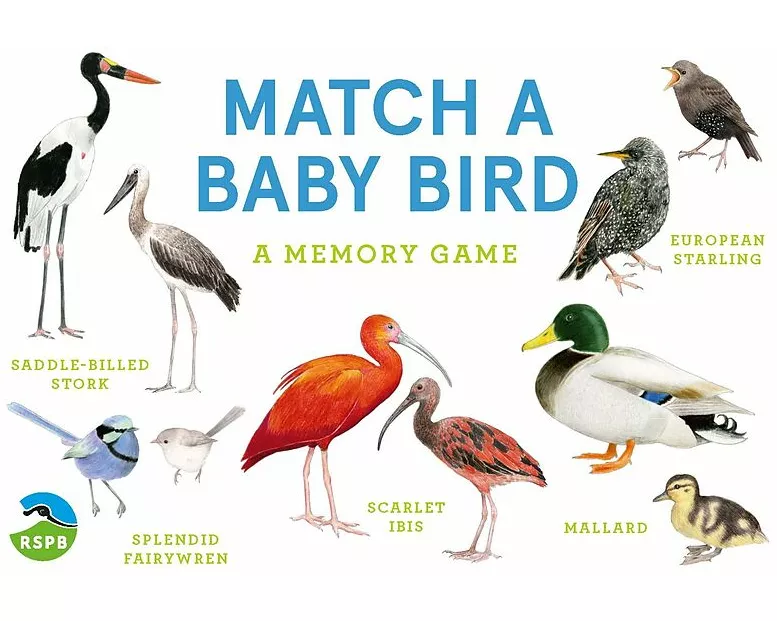 Match a Baby Bird
