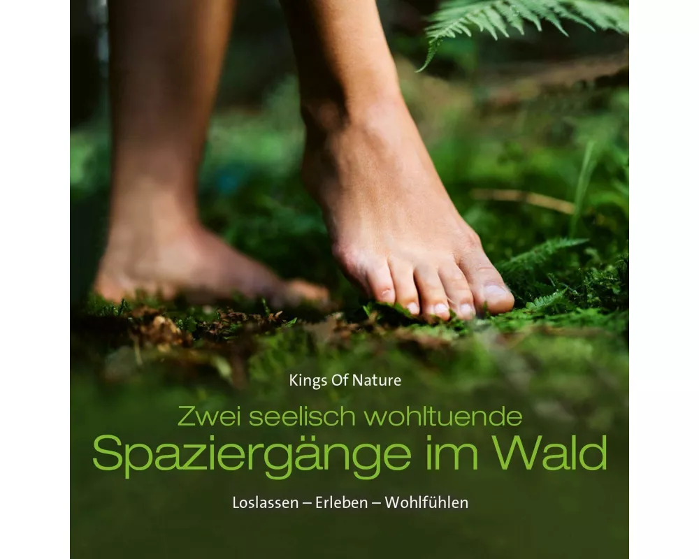 Spaziergänge Im Wald