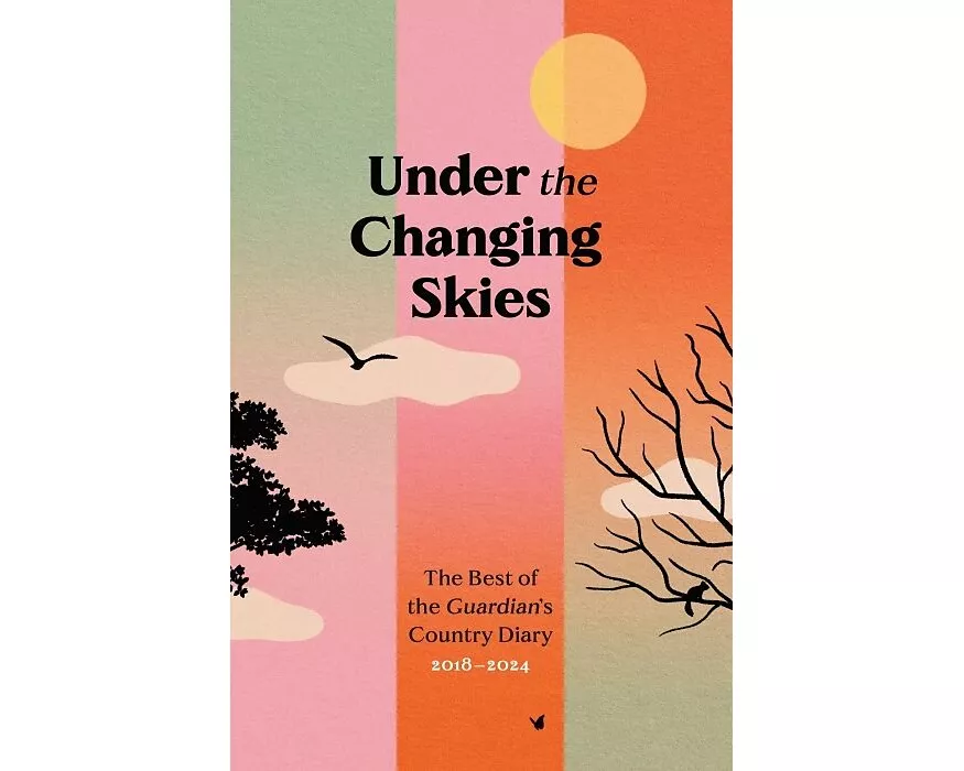 Under the Changing Skies