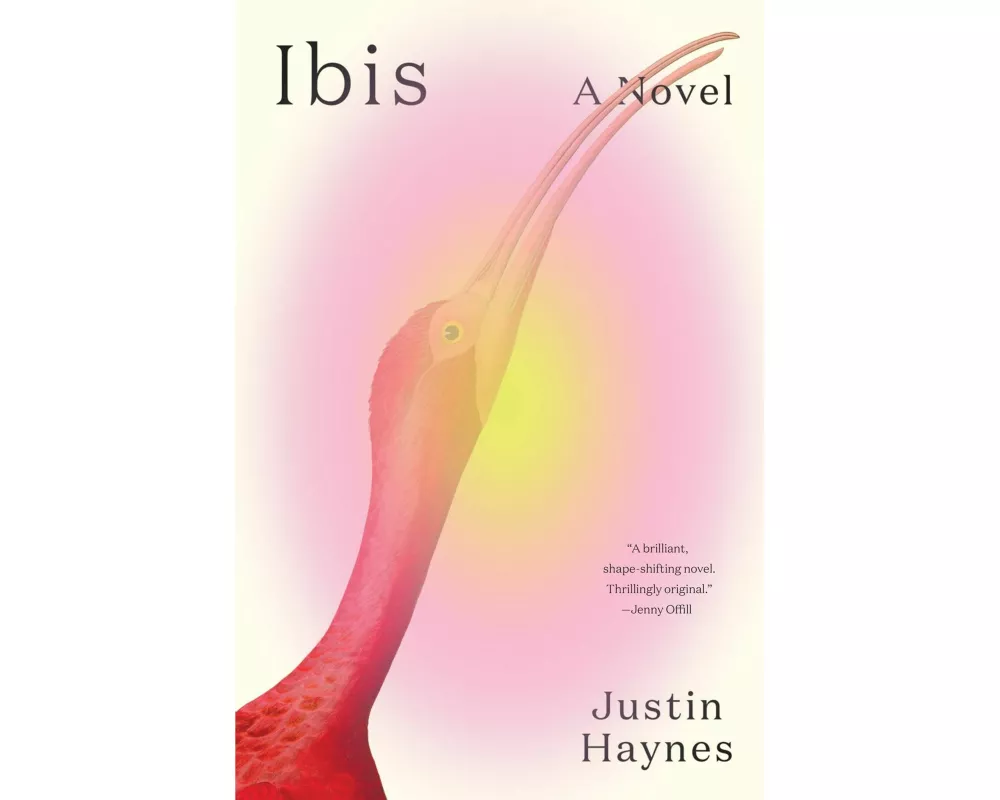 Ibis