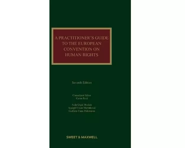A Practitioner's Guide to the European Convention on Human Rights